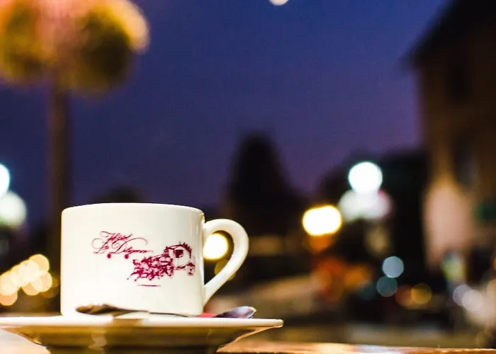 La Diligence הונפלר